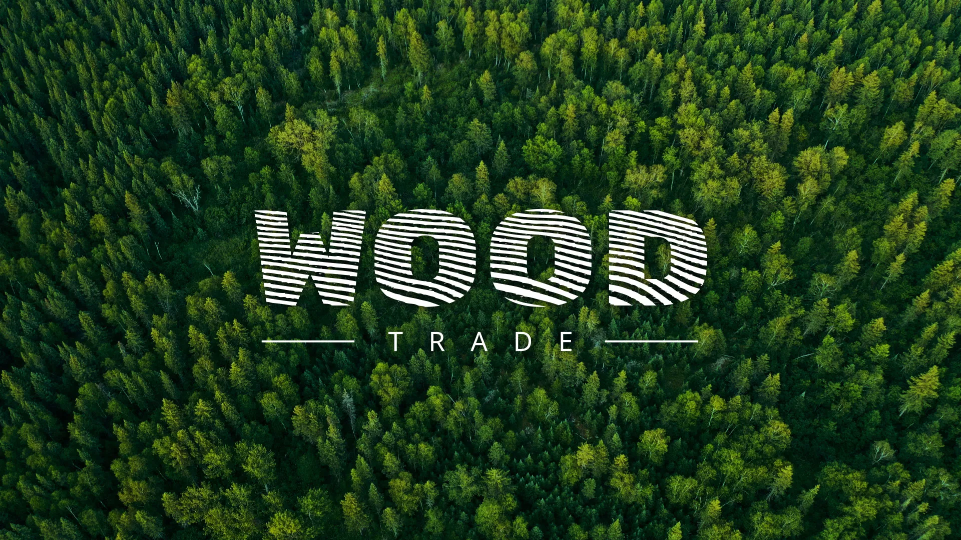 Разработка интернет-магазина компании «Wood Trade» в Видном
